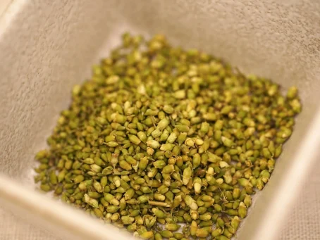 茶願 - 槐米 140g 清肝瀉火 促進消化：圖片 3