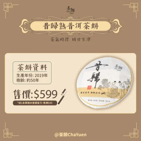 茶願 - 昔歸熟普洱茶餅 357g茶氣醇厚 回甘生津 - Image 3