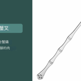 Bennlife 不鏽鋼吃蟹工具八件套 (7)